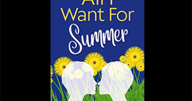 All I Want For Summer by Clare Lydon book clips